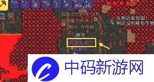 泰拉瑞亚血肉指关节怎么获得
