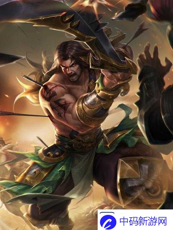无双大蛇3游戏内周泰图鉴详解