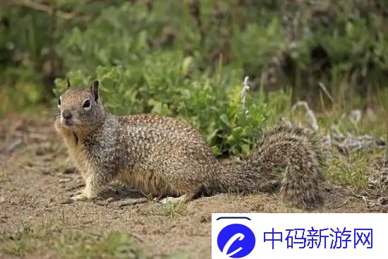 你敢信吗