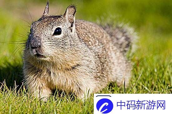 你敢信吗
