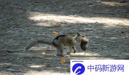 你敢信吗