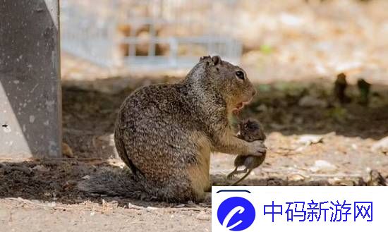 你敢信吗