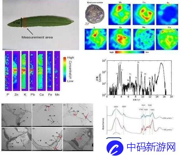 榨汁精灵的繁衍条件有哪些新发现科研成果展示及深度剖析
