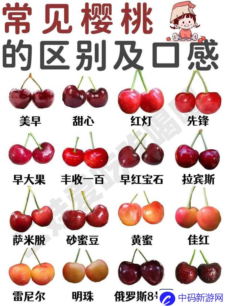 红颜樱桃和黄蜜樱桃的区别