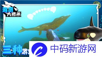 战国无双5怎么双人玩