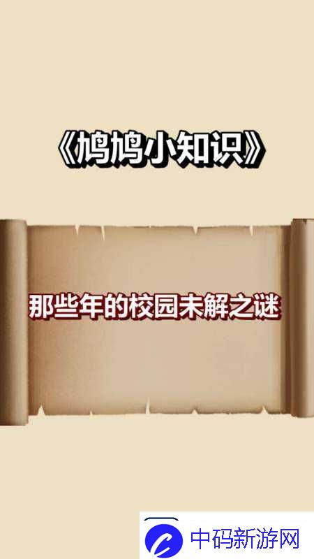 答案