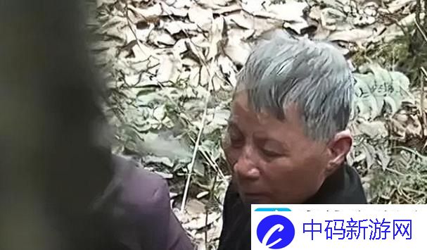 老年镖客在线免费观看
