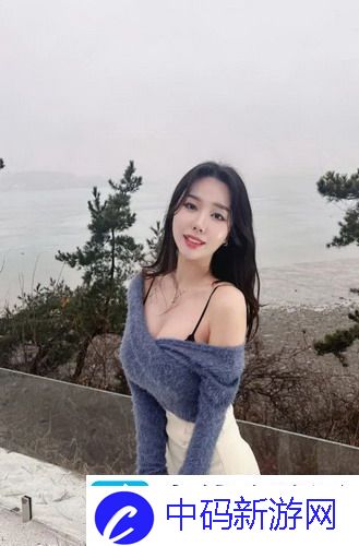 如何解决无法访问17c站的问题