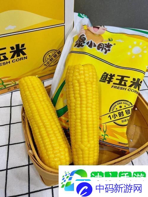 及时行乐NHP玉米