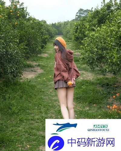日韩剧在线观看免费全集电视剧-吸引观众的多样化选择-友：剧迷的福音-太赞了！