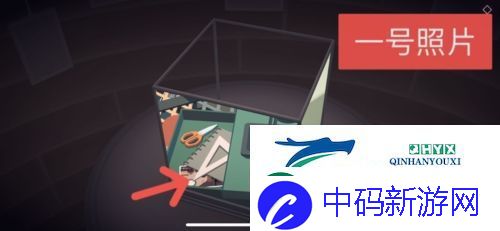 笼中窥梦照片位置在哪：全相册位置一览