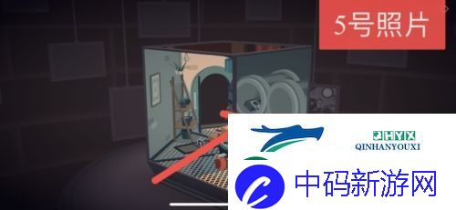 笼中窥梦照片位置在哪