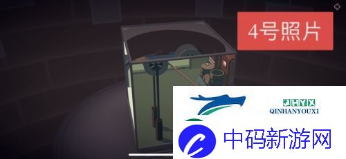 笼中窥梦照片位置在哪