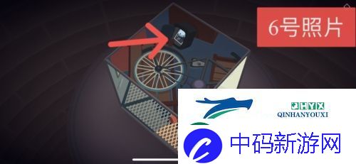 笼中窥梦照片位置在哪