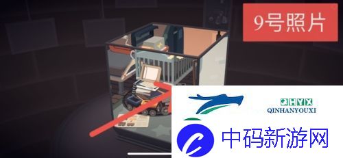 笼中窥梦照片位置在哪