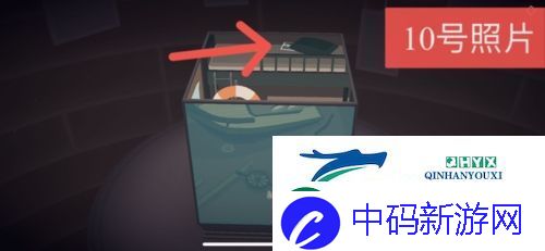 笼中窥梦照片位置在哪