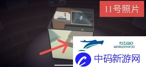 笼中窥梦照片位置在哪