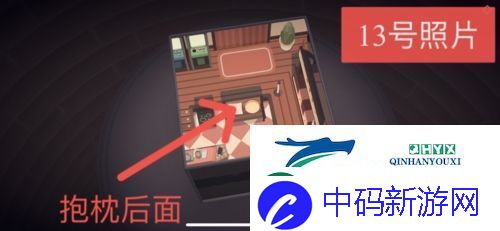 笼中窥梦照片位置在哪