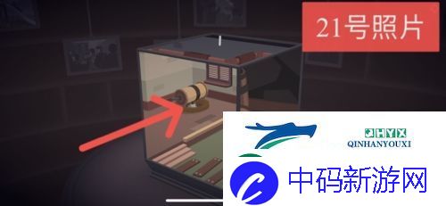 笼中窥梦照片位置在哪