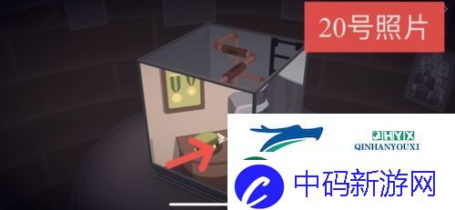 笼中窥梦照片位置在哪