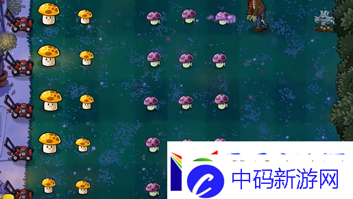 植物大战僵尸精华版冒险模式2