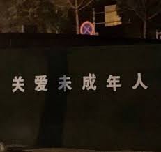 这就是江湖前期萌新必买物品是什么