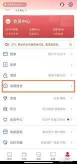 云闪付如何查询个人征信