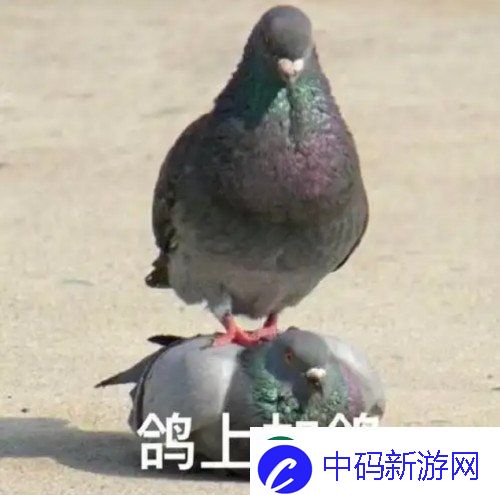 打枪和妹妹全都要！这次的PUBG又整了什么新活儿