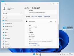 windows11蓝屏处理方法及详细步骤