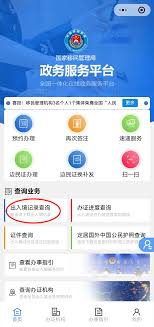 支付宝如何查询出入境记录