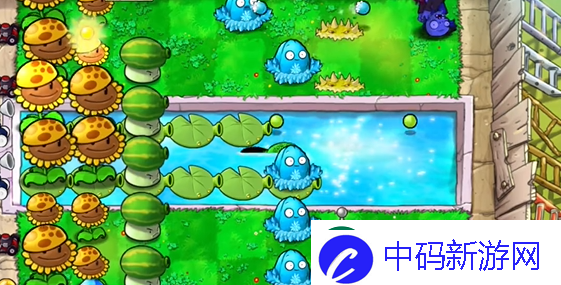 植物大战僵尸杂交版泳池防守第五关怎么过