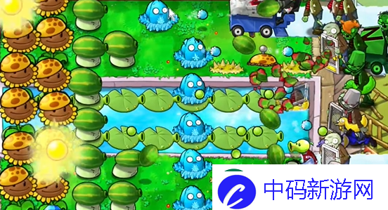 植物大战僵尸杂交版泳池防守第五关怎么过