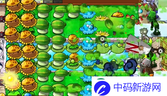 植物大战僵尸杂交版泳池防守第五关怎么过