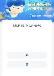 支付宝神奇海洋海豚靠什么呼吸