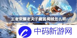 王者荣耀老夫子藏狐皮肤值得入手吗