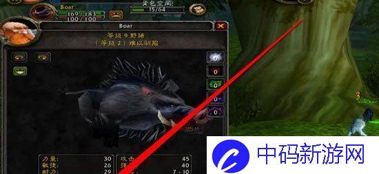 《魔兽世界》60级猎人带低级宝宝升级方法