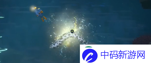 潜水员戴夫斑点海鳗怎么抓