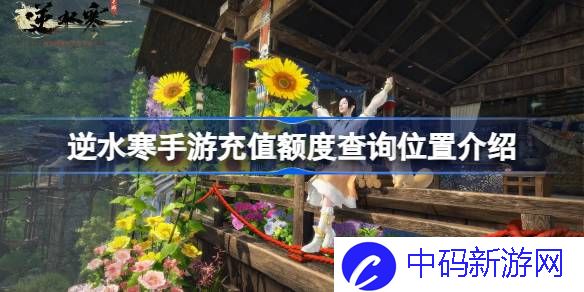 逆水寒手游充值额度查询怎么查 逆水寒手游充值额度查询位置介绍