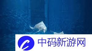哪种海洋动物需要定时浮出水面换气