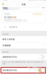 王者营地如何隐身访问