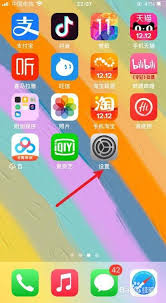 苹果13如何设置圆浮标