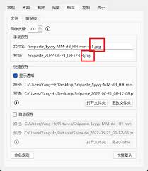 Snipaste如何设置截图默认格式