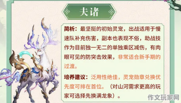最终幻想+玩家反馈：全球排名变化与游戏攻略解析