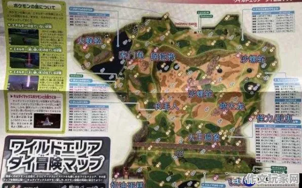宝可梦剑盾 版本更新：宝可梦剑盾 地图解析 宝可梦剑盾 地图解析：实测数据汇总