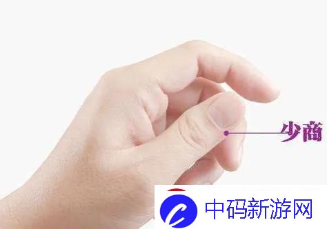 “菜鸟闯关记