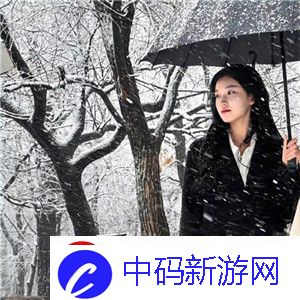 高清Windows免费版将不限次数