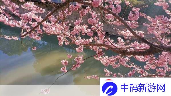 亭亭玉立国色天香四月天美景何处寻