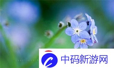 300eadaafc0c338a0a098453add56345.jpg