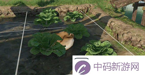 逆水寒手游