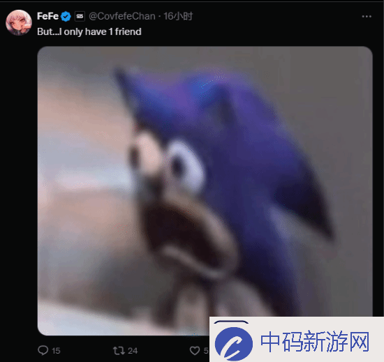 玩家吐槽老头环新作不能双人游玩